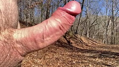 Nature walk Thumb