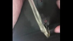 Verification video Thumb